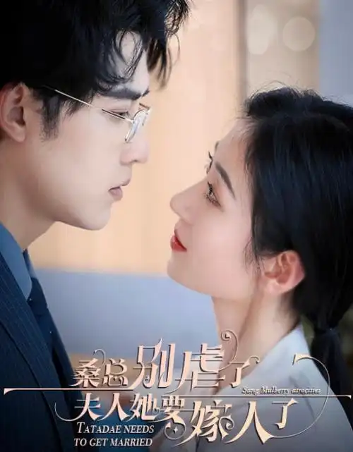 短剧离婚后我成了顶流封面